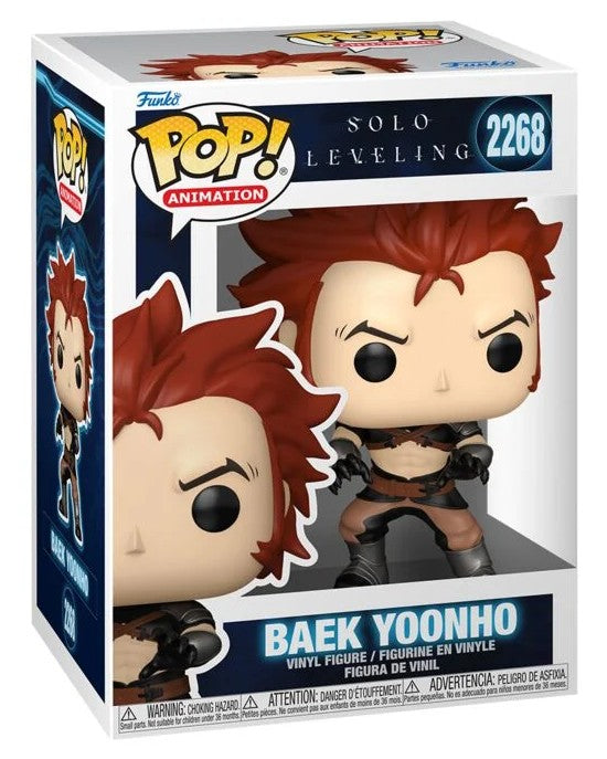 Nr. 2268 Solo Leveling Baek Yoonho